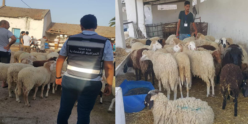 حملة مراقبة في نقاط بيع أضاحي العيد بعدد من الجهات
